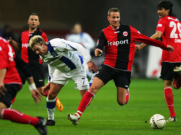 高度关注 高度关注